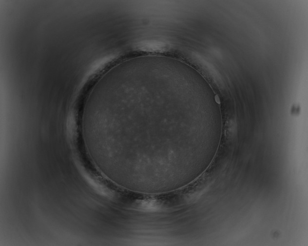 X0000101970688200807181105