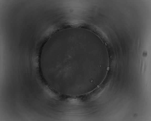 X0000101970689200807181105