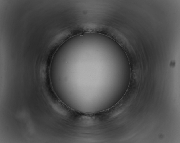 X0000101970690200807181105