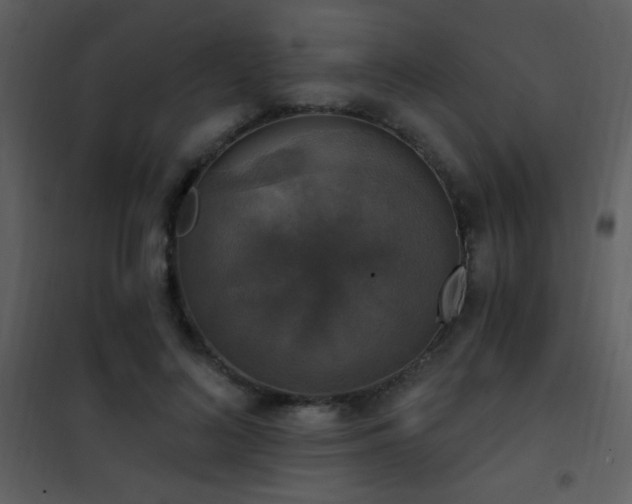 X0000101970692200807181105