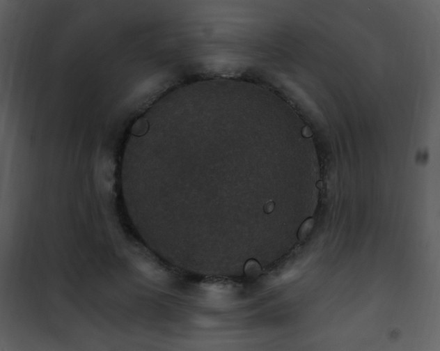 X0000101970693200807181105