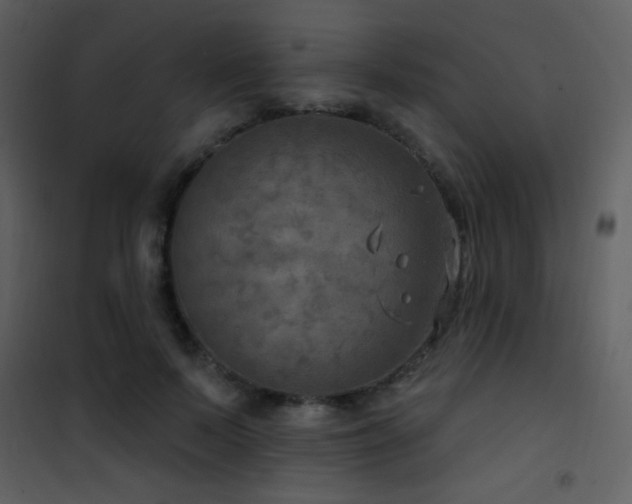 X0000101970695200807181105