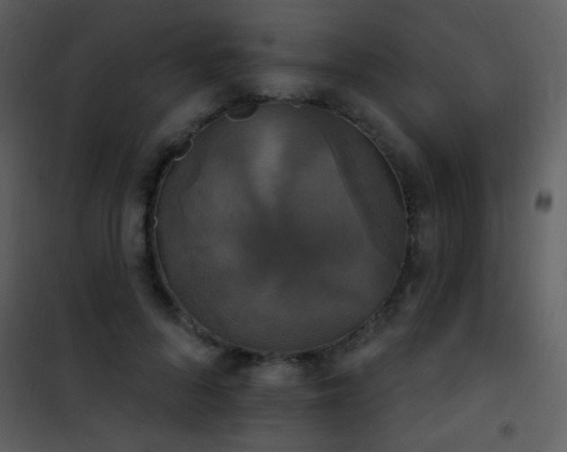 X0000101970696200807181105