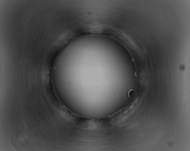 X0000101970697200807181105