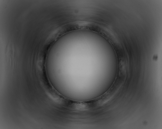 X0000101970698200807181105