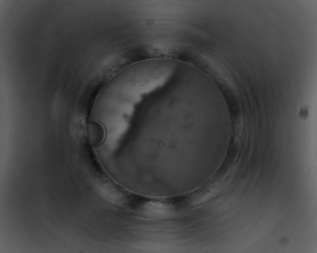 X0000101970699200807181105
