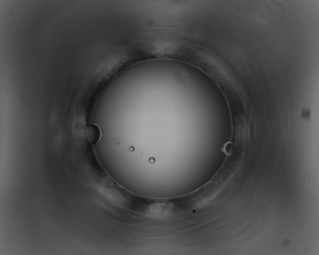 X0000101970700200807181105