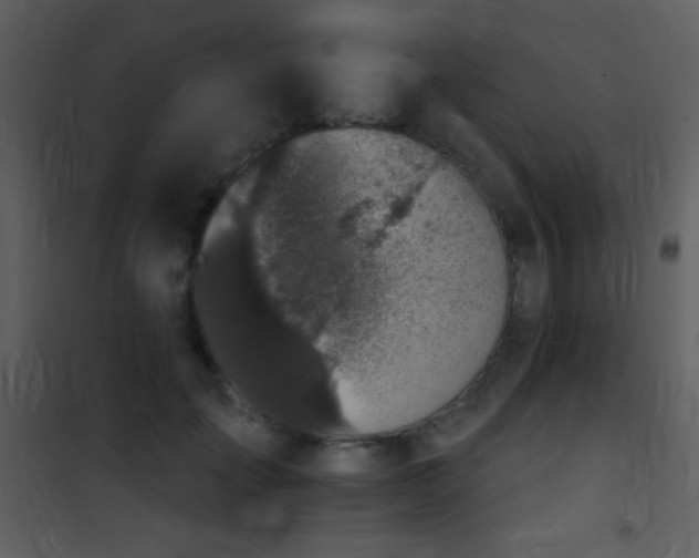 X0000101970701200807181105