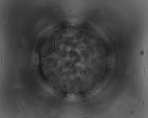 X0000101970703200807181105