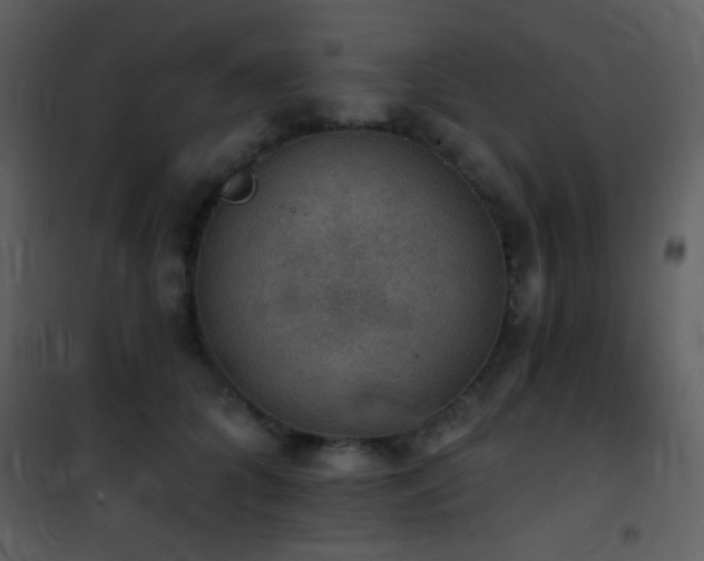 X0000101970704200807181105