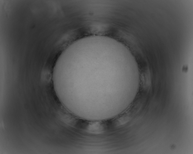 X0000101970705200807181105