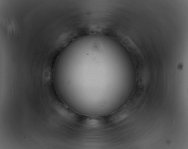 X0000101970706200807181105