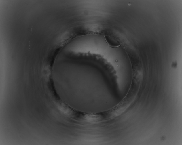 X0000101970707200807181105