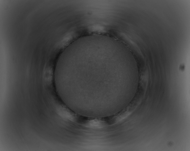 X0000101970708200807181105