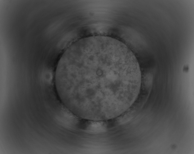 X0000101970709200807181105