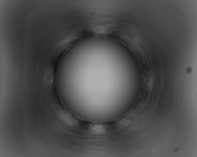 X0000101970710200807181105
