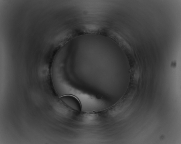 X0000101970711200807181105