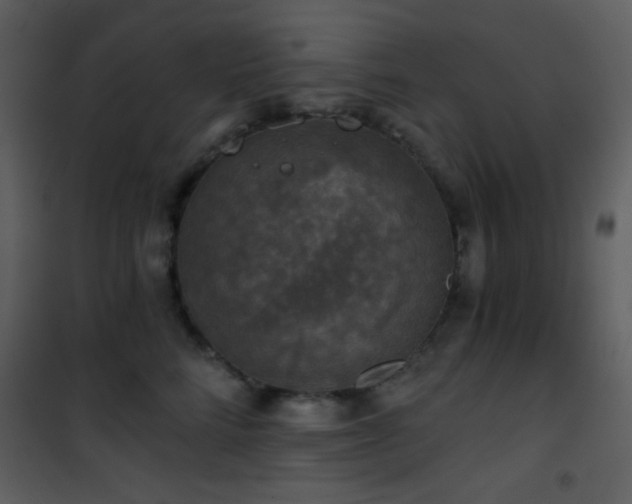 X0000101970712200807181105