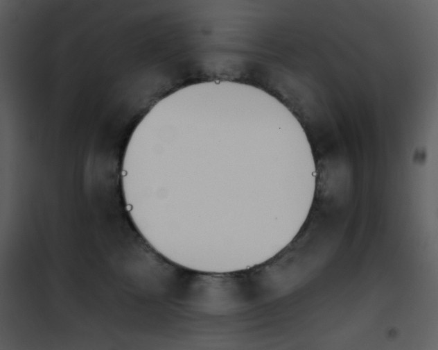 X0000101970713200807181105