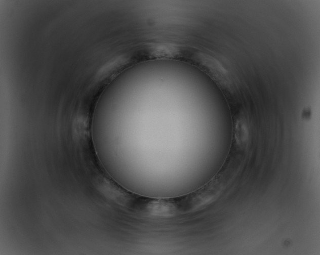 X0000101970714200807181105
