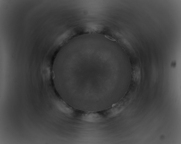 X0000101970716200807181105