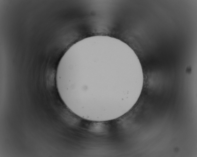 X0000101970717200807181105