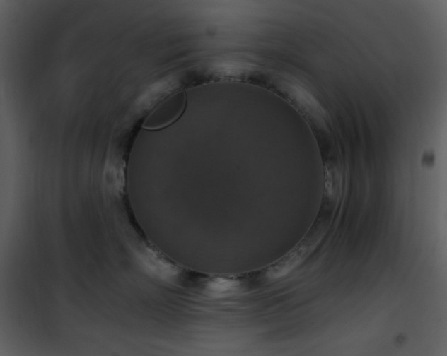 X0000101970718200807181105