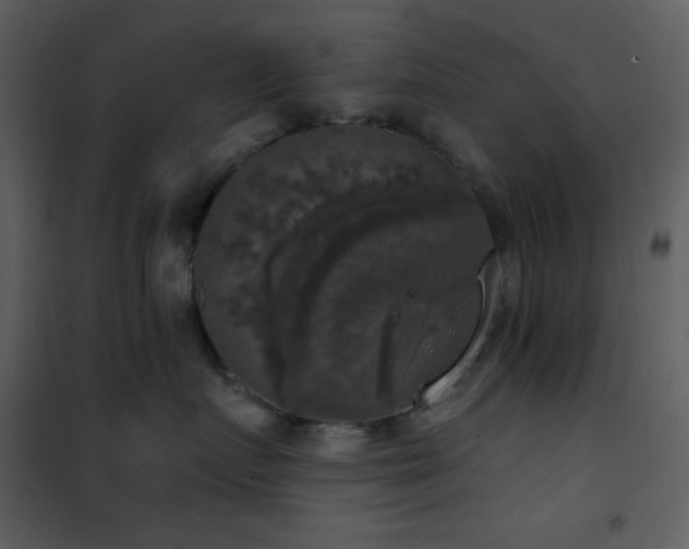 X0000101970719200807181105