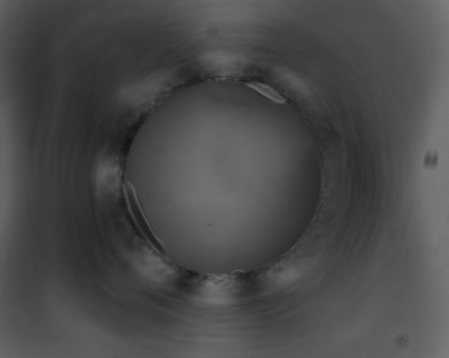 X0000101970720200807181105
