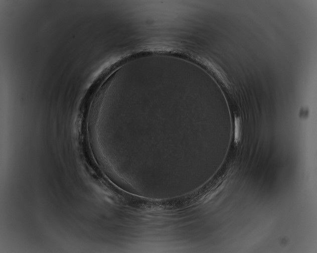 X0000101970723200807181104
