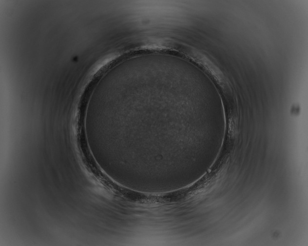 X0000101970724200807181104