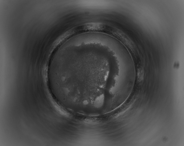 X0000101970725200807181104