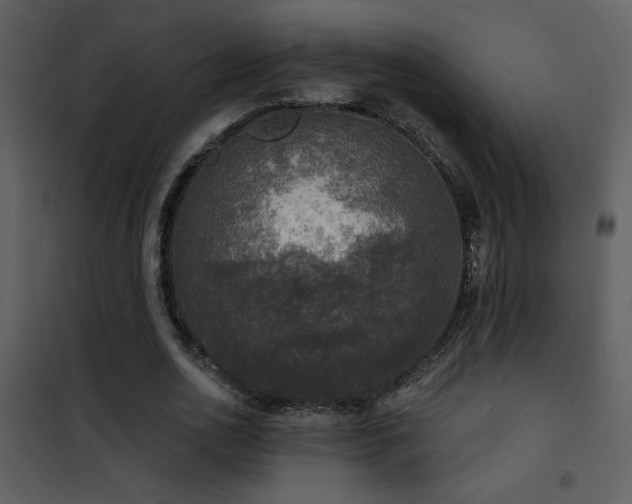 X0000101970726200807181104