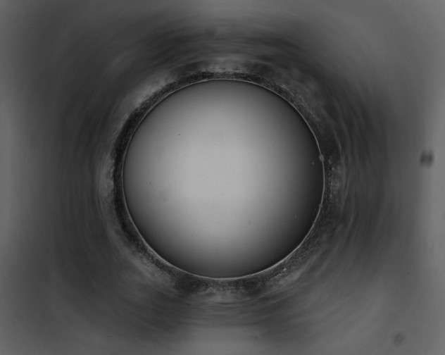 X0000101970727200807181104