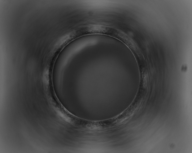 X0000101970729200807181104
