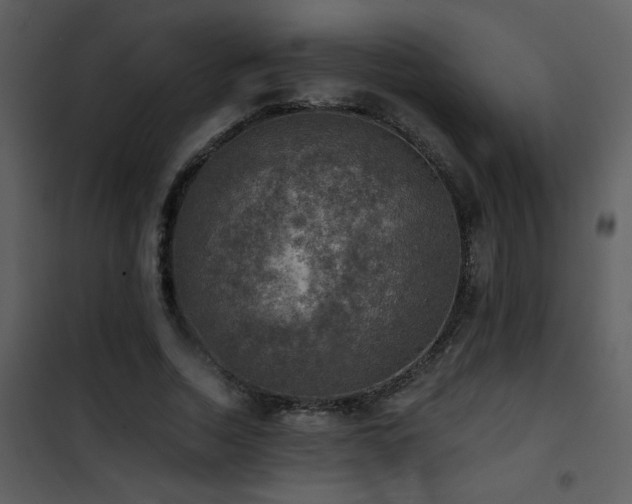 X0000101970730200807181104