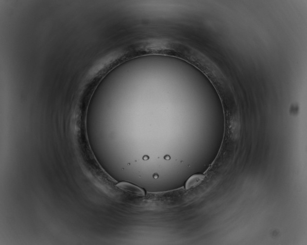 X0000101970732200807181104