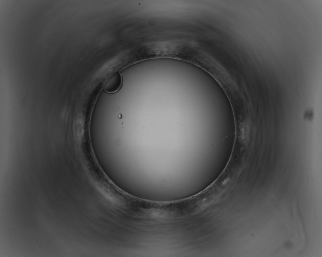 X0000101970733200807181104