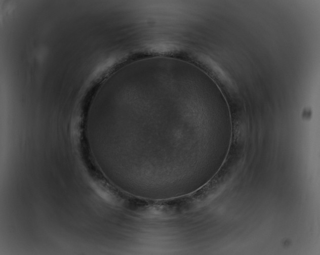 X0000101970736200807181104