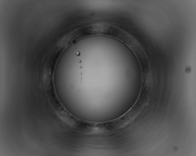 X0000101970737200807181104