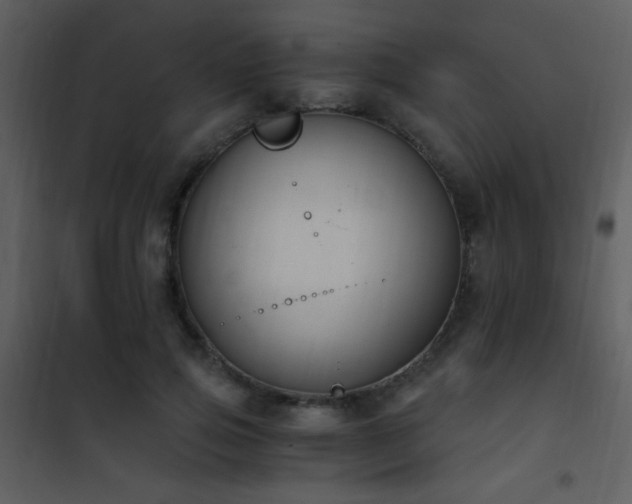 X0000101970741200807181104