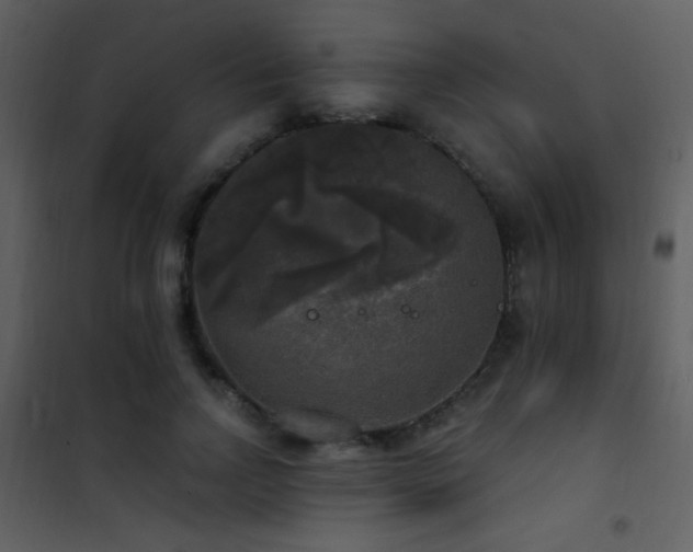 X0000101970742200807181104