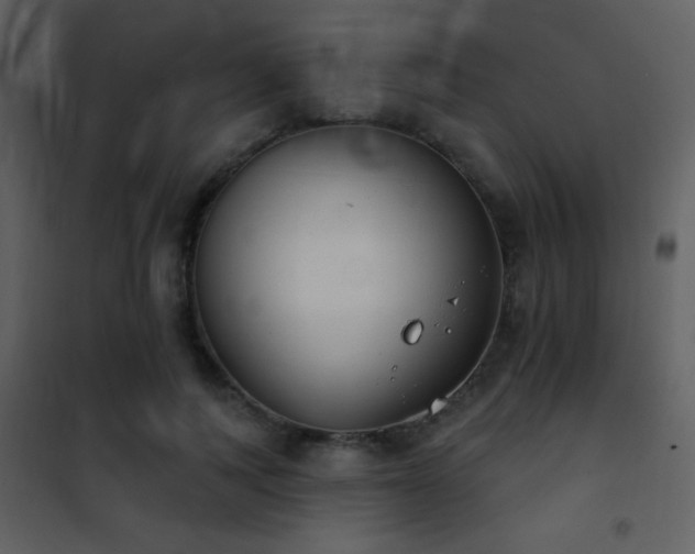 X0000101970743200807181105