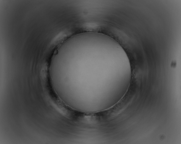 X0000101970744200807181105