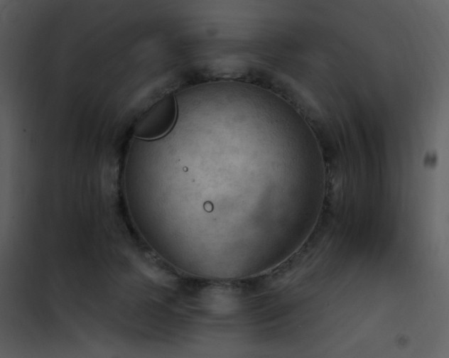 X0000101970745200807181105