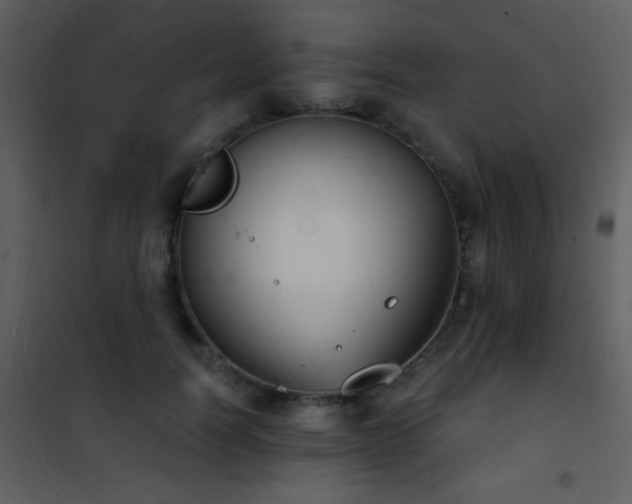 X0000101970746200807181105