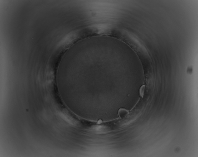 X0000101970748200807181105