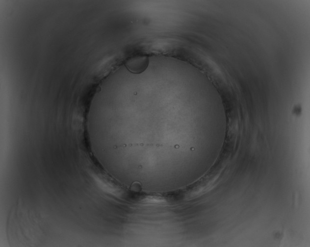 X0000101970749200807181105