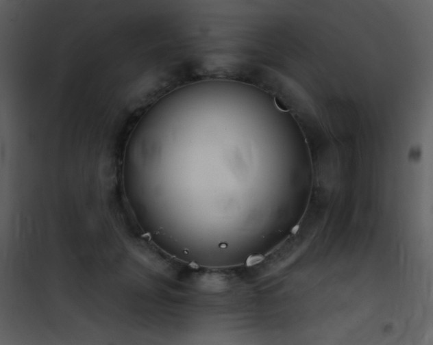X0000101970751200807181105