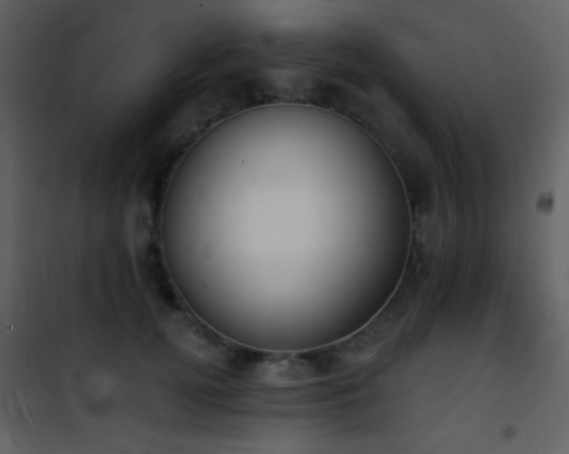 X0000101970752200807181105
